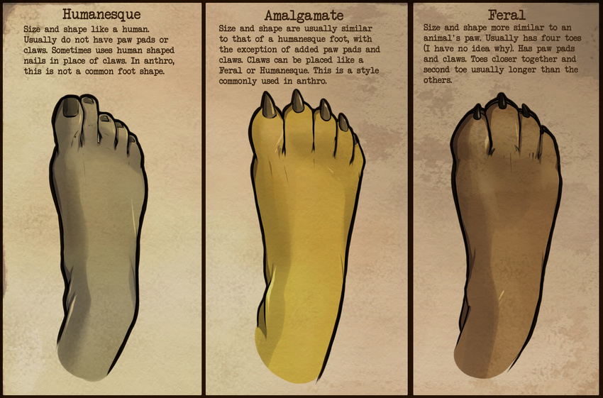 4_toes 5_toes ambiguous_gender chart claws coffinberry english_text feet foot_focus human mammal text toe_claws toes unknown_species