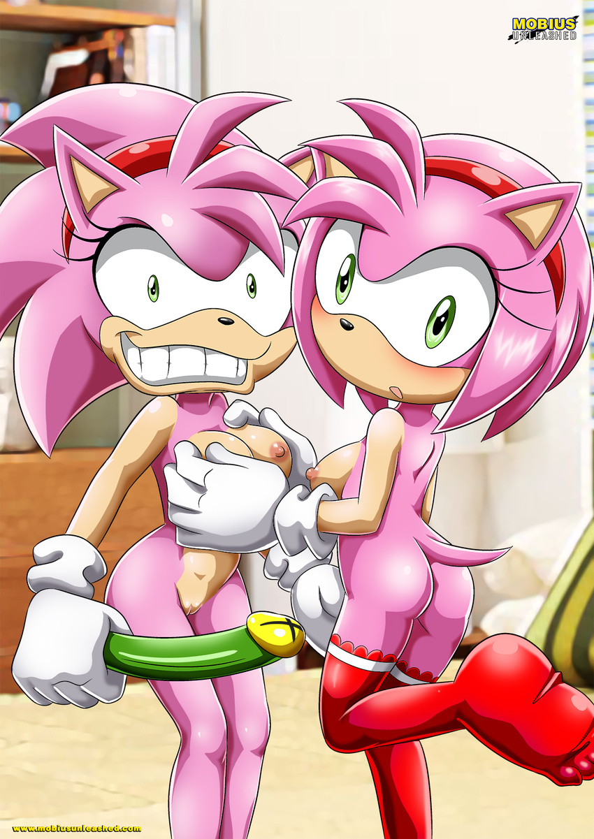 2016 amy_rose anthro archie_comics bbmbbf blush breast_fondling breasts butt caught clothing digital_media_(artwork) dildo duo erect_nipples female female/female fondling fur gloves green_eyes hair hand_on_breast hedgehog hi_res imminent_sex insane legwear looking_at_viewer looking_back mammal mobian_(species) mobius_unleashed nipples nude open_mouth palcomix pink_fur pink_hair pussy raised_leg rear_view rosy_the_rascal sex_toy short_hair smile sonic_(series) standing stockings surprise teeth thigh_highs