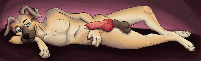 abstract_background anatomically_correct anatomically_correct_penis animal_genitalia animal_penis anthro balls canine canine_penis digital_media_(artwork) digital_painting_(artwork) dog hi_res knot male mammal penis reg regsmutt sheath solo