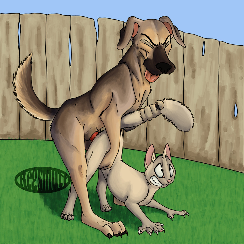 absurd_res anthro canine cat day detailed_background dog duo feline feral fur grass hi_res interspecies male mammal outside penetration penis pussy reg regsmutt sex sky tongue tongue_out watermark wide_eyed