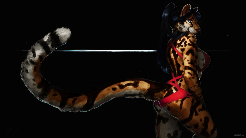 16:9 2016 anthro big_tail bikini black_background black_hair blue_eyes breasts butt cheetah clothed clothing collar digital_media_(artwork) digital_painting_(artwork) feline female fur hair half-closed_eyes hi_res king_cheetah lily_(oouna) long_hair looking_at_viewer looking_back mammal multicolored_fur multicolored_tail oouna orange_fur portrait seductive side_boob simple_background skimpy smile solo spots spotted_fur standing stripes swimsuit three-quarter_portrait whiskers white_fur