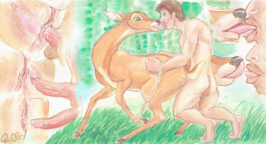 bambi bestiality bradley cervine close-up disney erection female feral french_kissing from_behind_position glans human human_on_feral inside interspecies intimate invalid_tag kissing lubrication male male/female mammal mena_(bambi) messy otterman89 penetration penis pussy queensmate rope saliva sex sexual tongue traditional_media_(artwork) watercolor_(artwork)