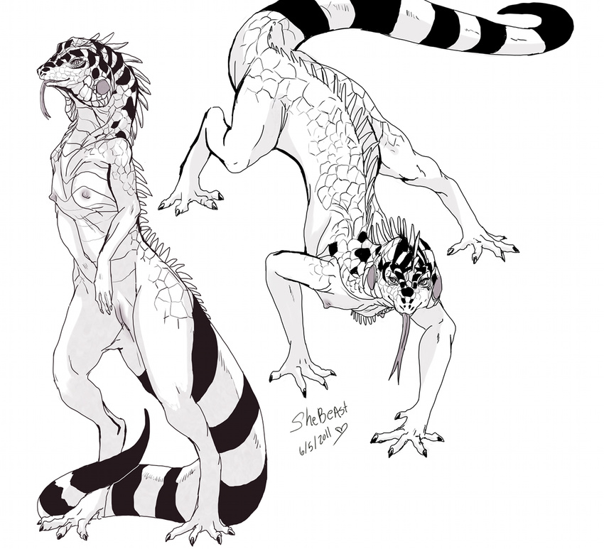 2011 4_toes all_fours black_and_white breasts claws digitigrade female iguana lizard long_tail long_tongue monochrome nude pussy reptile scales scalie semi-anthro shebeast simple_background smile solo spines standing striped_tail toe_claws toes tongue white_background