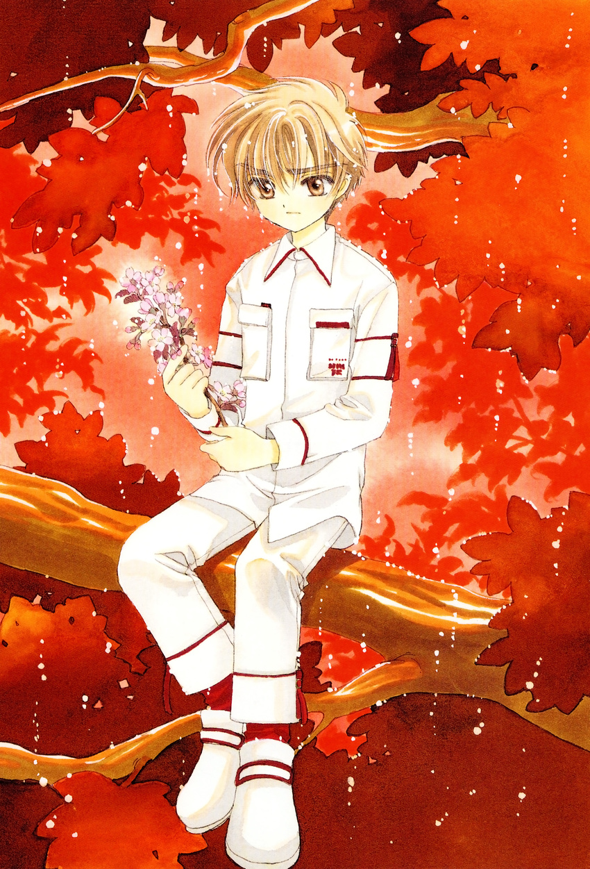 card_captor_sakura clamp li_syaoran male tagme