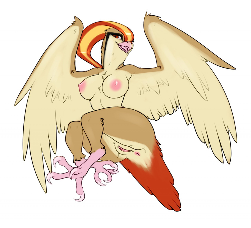 anthro anthrofied anus avian big_breasts bird breasts claws crobat_(artist) digitigrade feathers female nintendo nipples nude open_mouth pidgeot pok&eacute;mon pussy red_eyes semi-anthro simple_background smile solo tail_feathers video_games white_background wide_hips wings