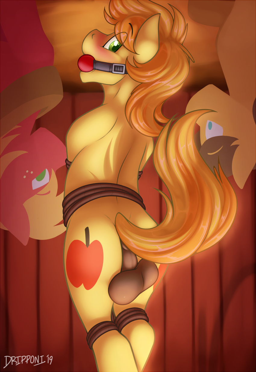 ball_gag balls big_macintosh_(mlp) braeburn_(mlp) caramel_(mlp) dripponi equine friendship_is_magic gag horse male mammal my_little_pony upside_down