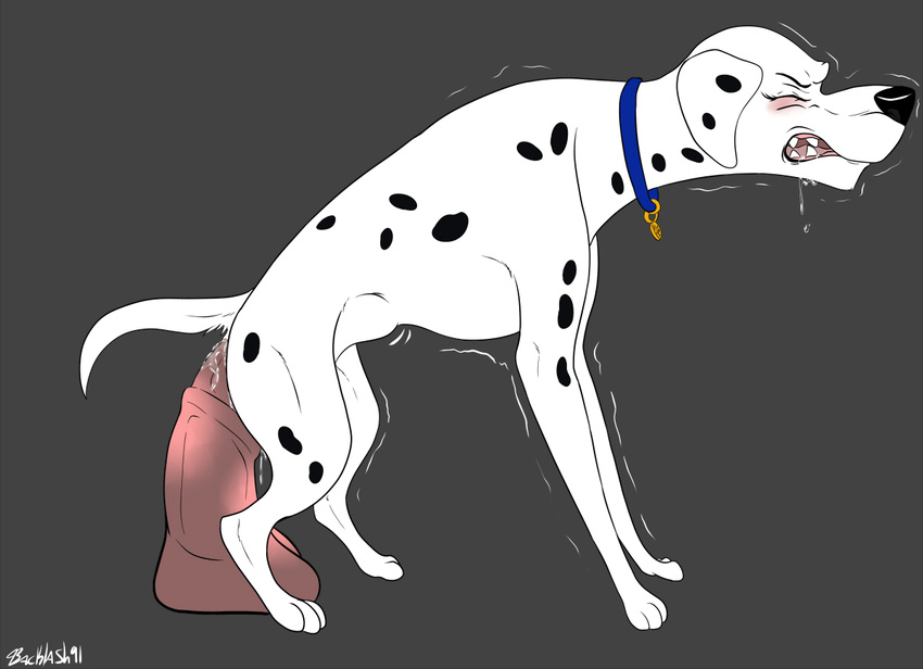101 101_dalmatians anal backlash91 canine closed collar colored conditional_dnp dalmatian dalmations dildo disney dog equine feral gritting horse invalid_background invalid_tag mammal penetration perdita sex_toy sitting straining tag teeth