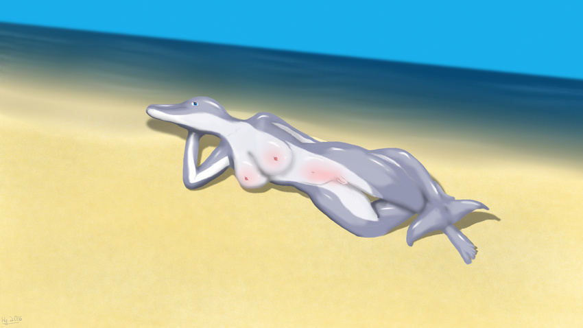 anthro beach big_breasts blue_eyes blush breasts cetacean dolphin female grey_skin looking_at_viewer lying mammal marine nipples nude on_side outside pussy pussy_juice seaside shiny slit solo two_tone wet wide_hips