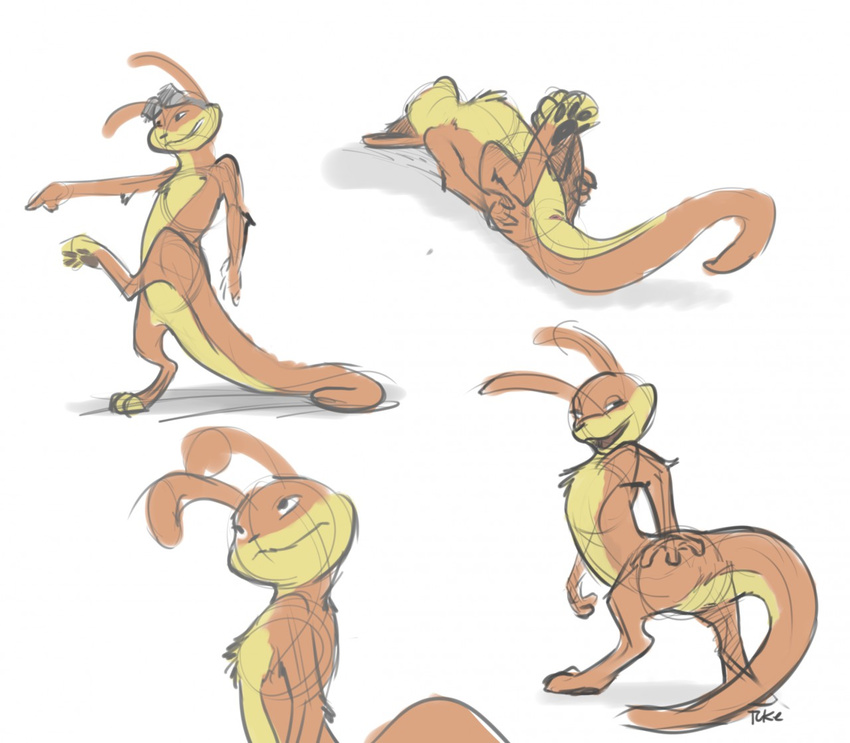2016 animal_genitalia cloaca daxter eyewear goggles jak_and_daxter looking_back lying mammal multiple_poses mustelid nude on_back ottsel pose presenting rear_view simple_background sketch solo standing tuke white_background