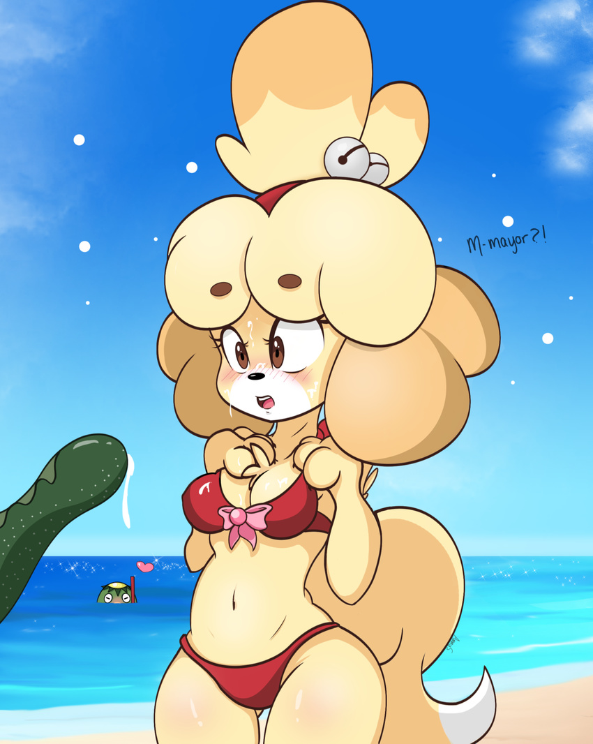 2016 animal_crossing anthro beach bikini blush brown_eyes canine clothing dog english_text female fur hi_res isabelle_(animal_crossing) kapp'n male mammal nintendo sea_cucumber seaside suggestive suggestive_food swimsuit text video_games yellow_fur zombies-pudding