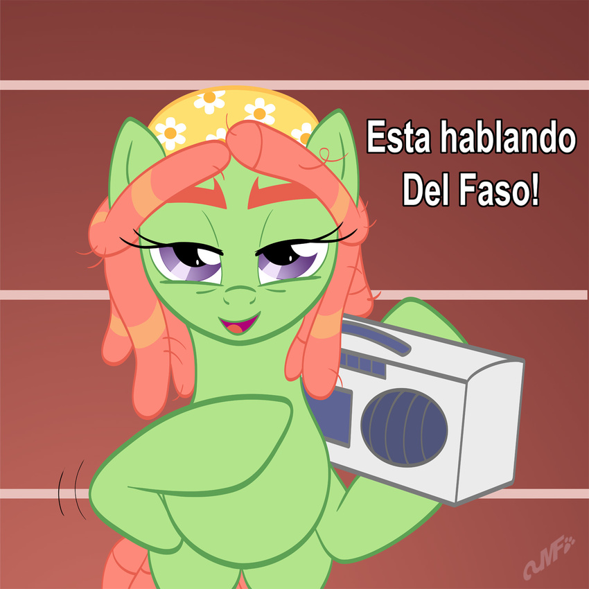 2015 abstract_background earth_pony equine female feral friendship_is_magic fur green_fur hair headscarf hi_res horse looking_at_viewer mammal miniferu multicolored_hair my_little_pony pony purple_eyes radio smile solo spanish_text text translation_request tree_hugger_(mlp) two_tone_hair