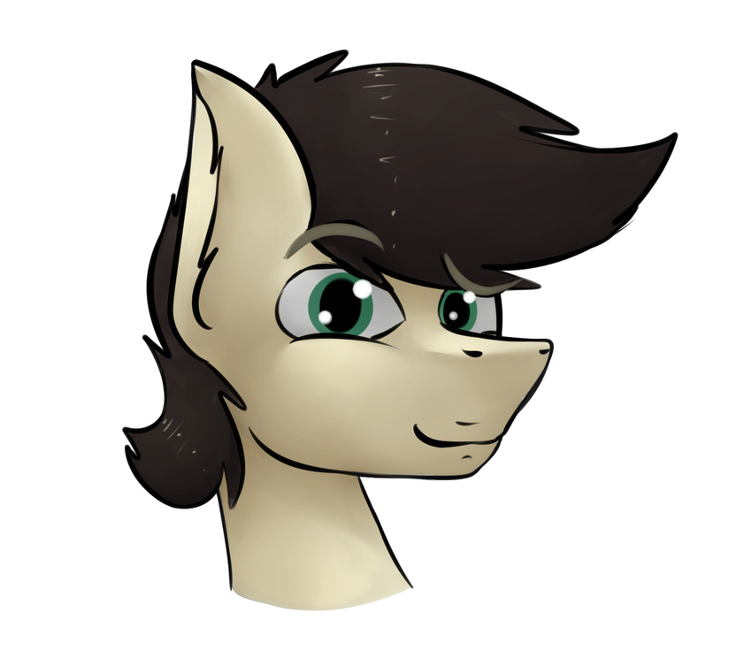 equine fan_character horse kappa looking_at_viewer male mammal marsminer my_little_pony pone_keith pony portrait solo