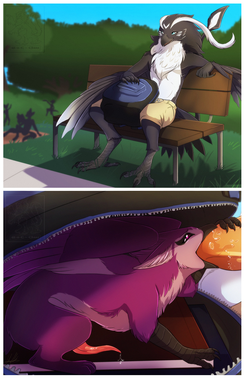 anthro arith avian backpack beak bench big_dom_small_sub bird clothing comic duo erection feathers feral gryphon hi_res kurrikage male male/male open_mouth oral park penis prehensile_penis size_difference talons wing-of-chaos wings