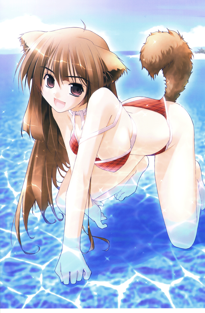 akata_itsuki animal_ears bikini cleavage inumimi swimsuits tail