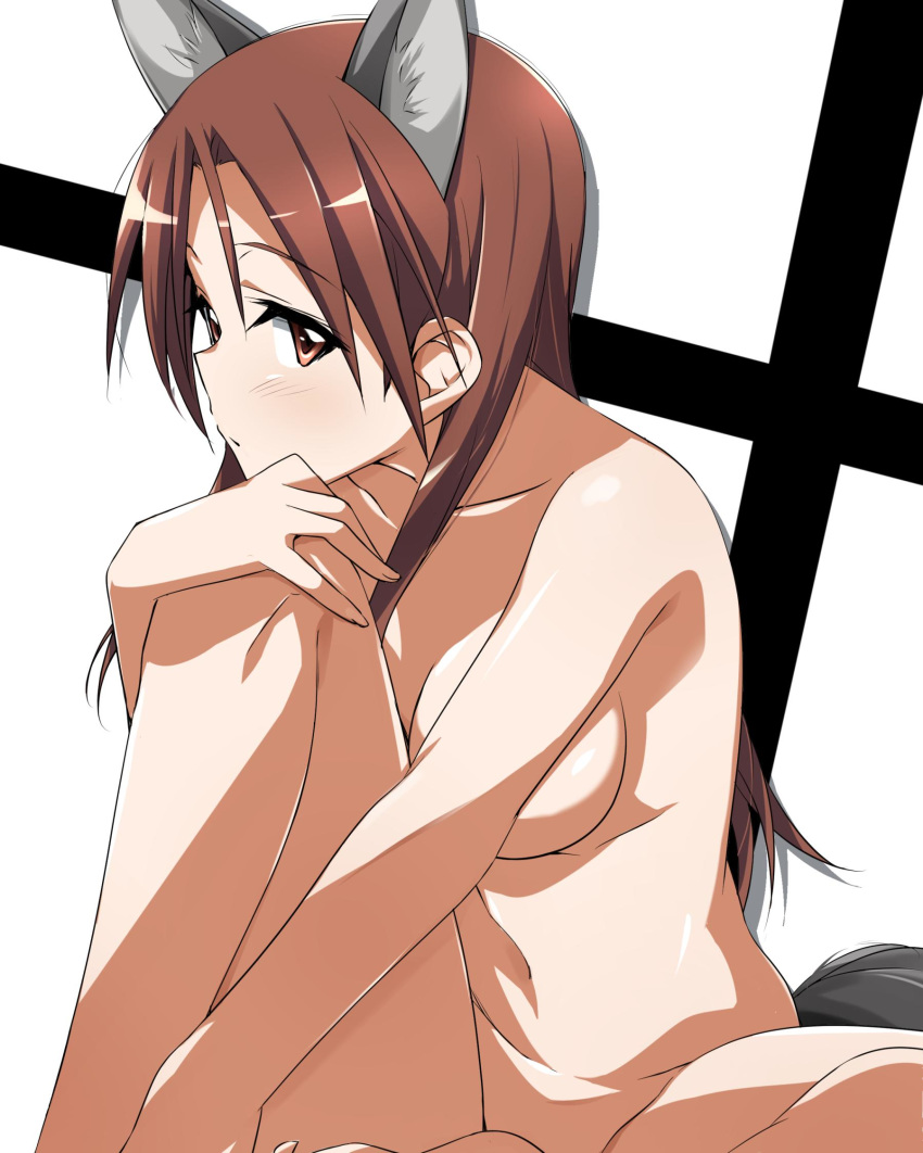 1girl animal_ears breasts brown_eyes brown_hair dog_ears glance head_on_knee highres knee_up long_hair looking_at_viewer medium_breasts minna-dietlinde_wilcke nude simple_background sitting solo strike_witches tail tokiani world_witches_series