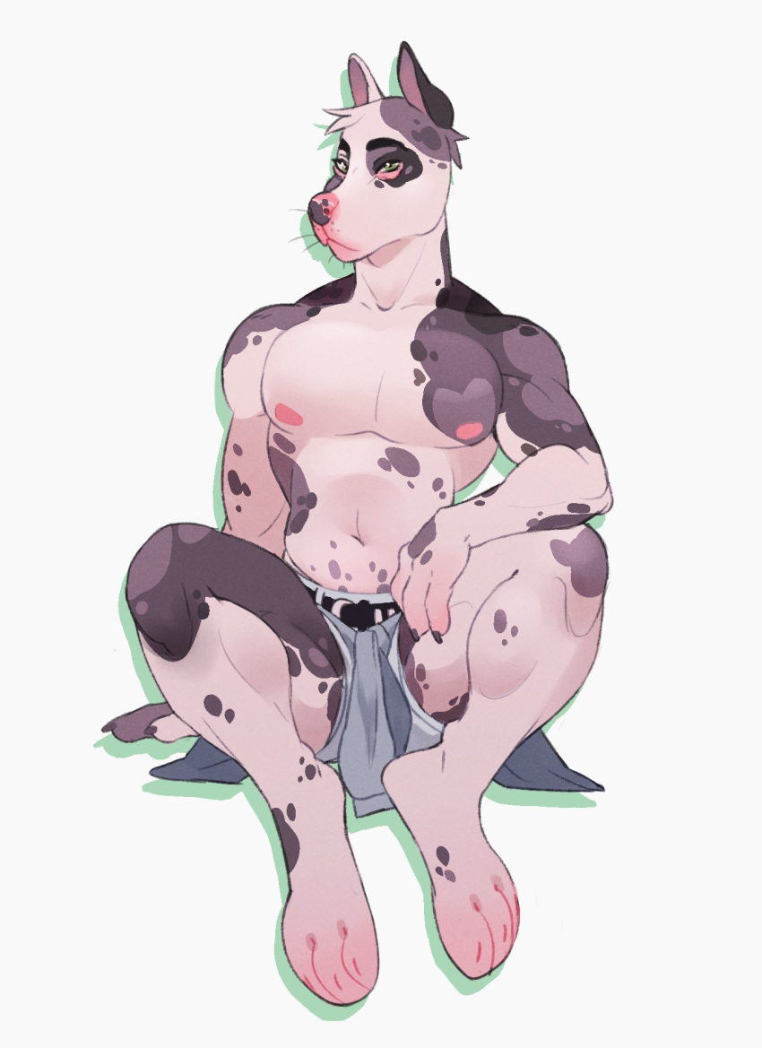 anthro canid canine canis clothed clothing domestic_dog great_dane male mammal megumigoo muscular muscular_male nipples simple_background sitting solo topless white_background