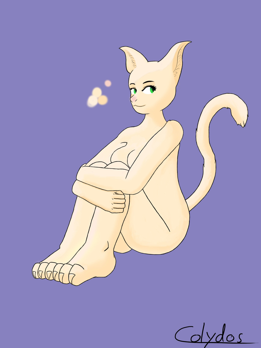 anthro big_ears breasts cat colydos cute feline female fur green_eyes hi_res light light_fur looking_at_viewer mammal pink_nose purple_background raised_tail sammie simple_background sitting smirk solo