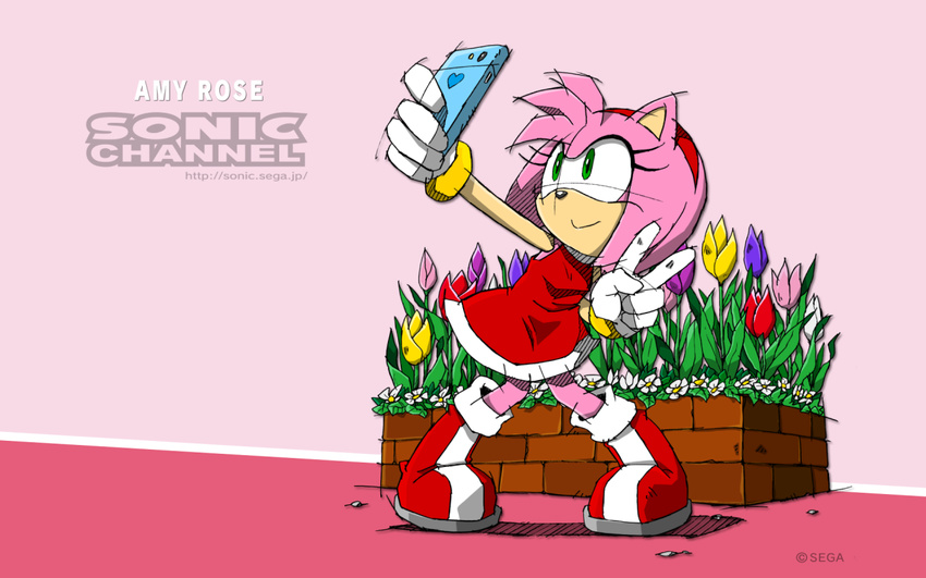 amy_rose boots cellphone clothing female footwear gloves green_eyes hedgehog mammal phone solo sonic_(series)