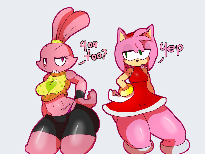 2016 amy_rose anthro crossover duo female hedgehog jaynatorburudragon lagomorph mammal panini rabbit sonic_(series)