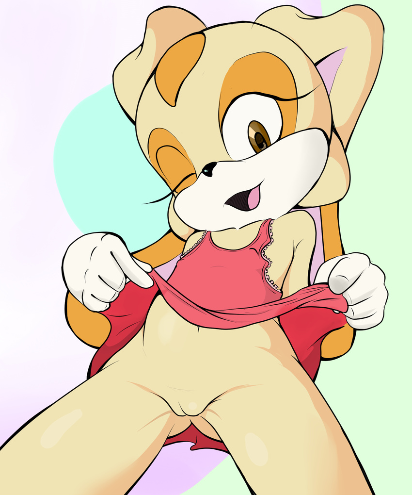 anthro bottomless clothed clothing clothing_lift cream_the_rabbit dress dress_lift female lagomorph looking_at_viewer mammal mdgusty one_eye_closed open_mouth pussy rabbit sonic_(series) young