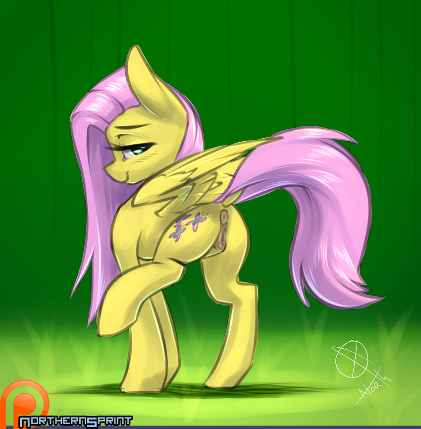 2016 anatomically_correct anatomically_correct_pussy animal_genitalia animal_pussy anus blush butt equine equine_pussy feathered_wings feathers female feral fluttershy_(mlp) friendship_is_magic hair half-closed_eyes hi_res long_hair looking_at_viewer mammal my_little_pony northernsprint patreon pegasus pink_hair pussy raised_leg solo wings