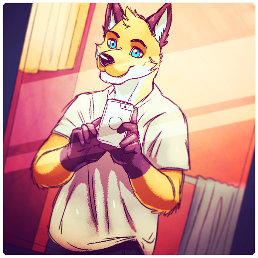 2016 anthro bathroom blue_eyes canine cellphone clothed clothing digital_media_(artwork) fluffy fox front_view fur gloves_(marking) holding_object holding_phone looking_at_viewer male mammal markings orange_fur orithan phone pose seaside_(artist) selfie shirt solo standing white_fur