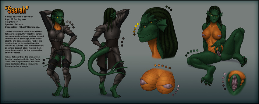 2015 alien anthro armor breasts clothed clothing female green_scales inverted_nipples lizard looking_at_viewer model_sheet multi_eye multicolored_scales nipples non-mammal_breasts nude orange_scales purple_nipples purple_pussy pussy reptile scales scalie simple_background solo spread_pussy spreading ssarenna tekenar two_tone_scales white_sclera wickedjuti yellow_eyes