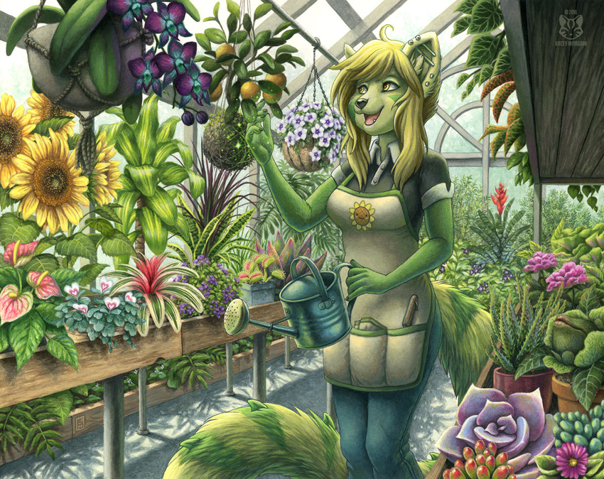 2016 anthro apron blonde_hair chloratolera clothing ear_piercing female fur green_fur greenhouse hair happy hybrid iguana industrial_piercing inner_ear_fluff jeans kacey lizard long_tail mammal nut-case pants piercing plant red_panda reptile ringed_tail scalie shirt solo traditional_media_(artwork) yellow_eyes