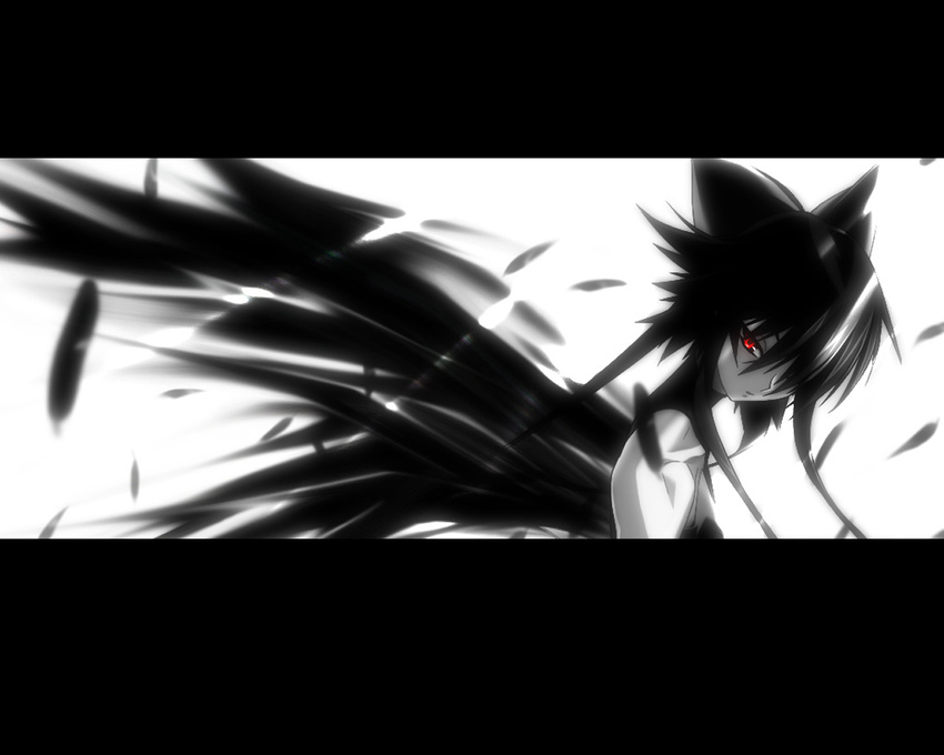 1280x1024 feathers mahou_shoujo_ai red_eyes wallpaper wings