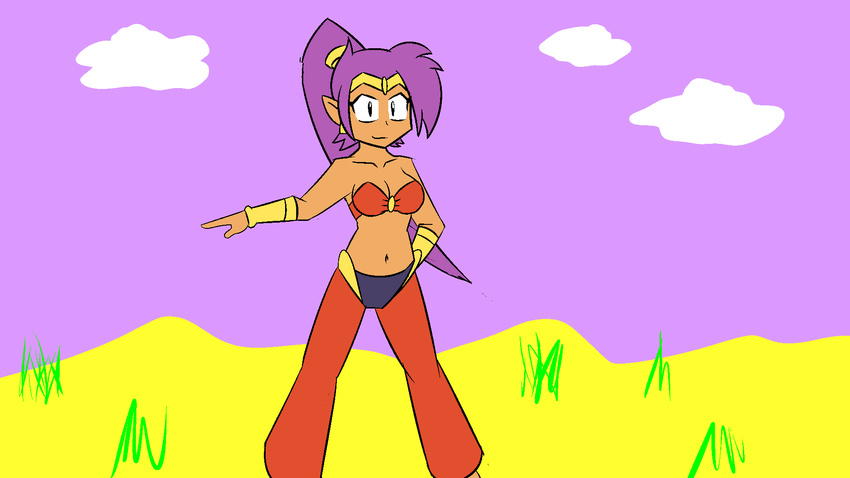 2016 animated big_breasts breasts clothed clothing cute digital_media_(artwork) female genie hair hi_res navel no_sound not_furry piercing ponytail purple_hair shantae shantae_(series) simple_background solo theicedwolf video_games wayforward