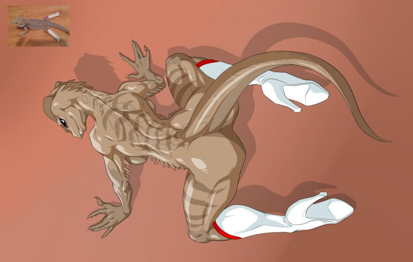 all_fours anthro bearded_dragon breasts butt clothing doomghost female footwear high_heels lizard mostly_nude reptile scalie shoes smile solo teeth