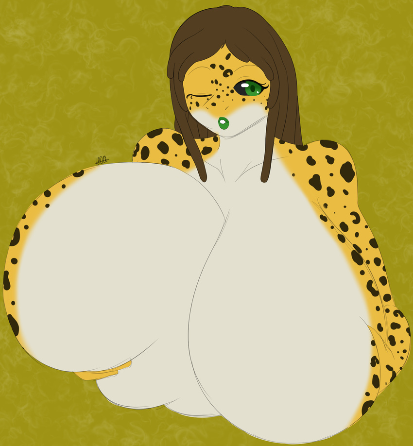 anthro big_breasts breasts connie_(doctorconnie) darkelfaqua digital_media_(artwork) dreadlocks female huge_breasts leopard_gecko lizard reptile scalie simple_background solo spots