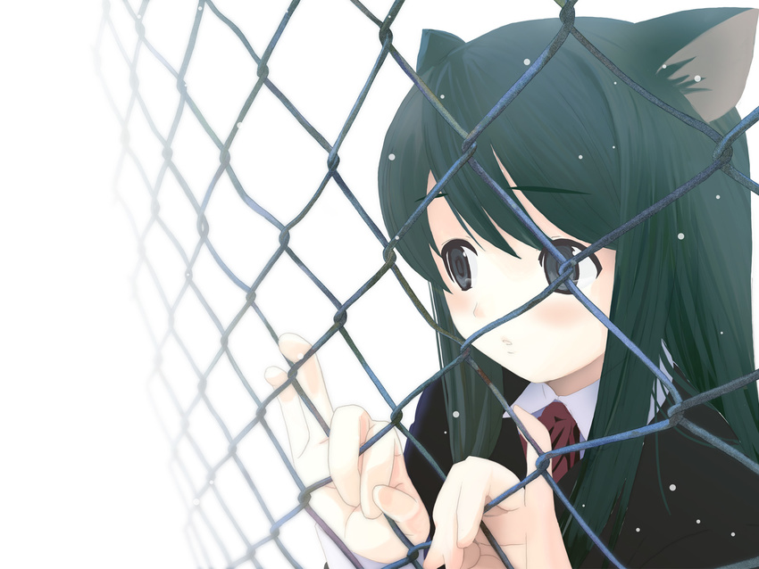 animal_ears black_hair blue_eyes blush cat_ears chain-link_fence close-up fence green_hair highres houmitsu looking_through_fence original ribbon school_uniform snowing solo wallpaper