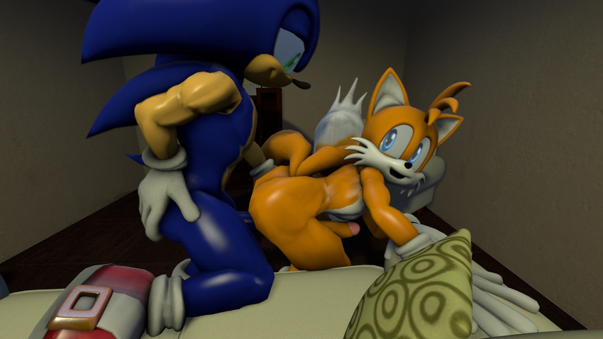 2016 3d_(artwork) anal anal_penetration anthro canine darksorm digital_media_(artwork) duo erection fox hedgehog male male/male mammal miles_prower nude penetration penis sonic_(series) sonic_the_hedgehog