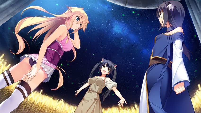 3girls aioh_lioh_camylia animal_ears ass bare_arms bare_shoulders black_hair blonde_hair blue_eyes braid breasts cat_ears erect_nipples fal_lev_guregoria fumio_(ura_fmo) game_cg happy hatsuru_koto_naki_mirai_yori highres kyurio_vita_waruroi large_breasts legs long_hair long_sleeves looking_at_another multiple_girls night open_mouth outdoors outstretched_arms panties sideboob skirt sky sleeveless smile standing stars thighhighs thighs twintails underwear yellow_eyes