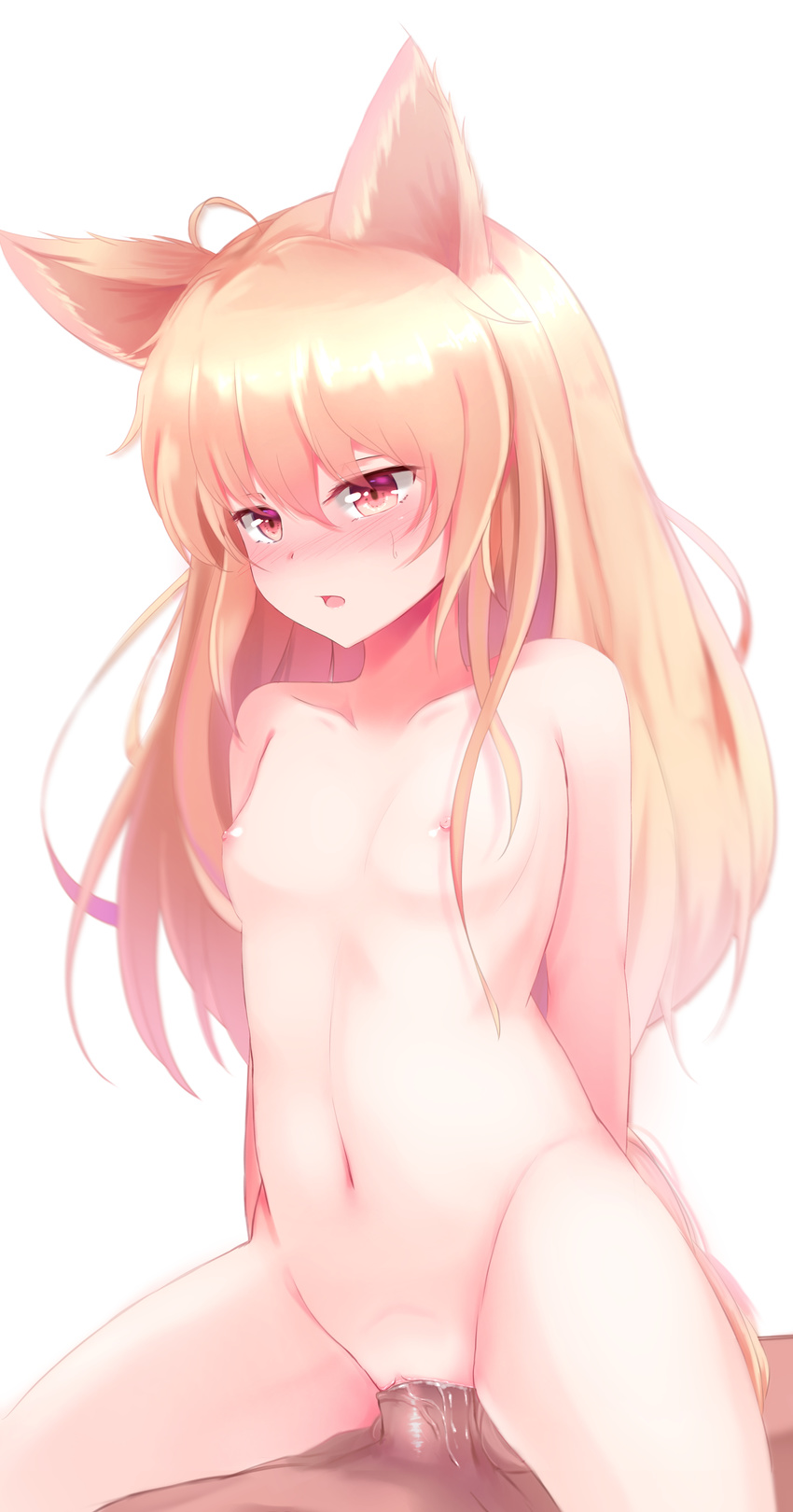 1girl absurdres animal_ears bad_id bad_pixiv_id bad_revision blonde_hair blush breasts elin_(tera) girl_on_top hetero highres long_hair nipples nude penis pussy red_eyes septet_(zrca_janne) sex simple_background small_breasts solo_focus tera_online vaginal white_background