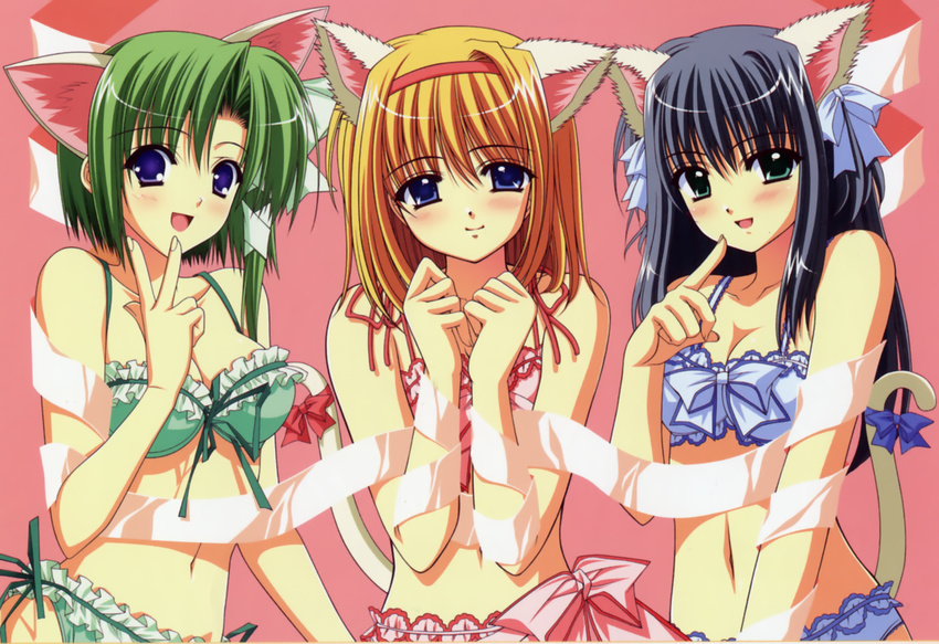 :d animal_ears aqua_eyes asymmetrical_hair bangs blue_bra blue_eyes blue_hair blue_panties blush bow bow_bra bow_panties bra breasts cat_ears cleavage clenched_hands closed_mouth collarbone finger_to_mouth fingernails frilled_bra frilled_panties frills front-tie_top fuyou_kaede garter_straps green_bra green_panties hair_between_eyes hair_bow hair_ribbon hairband happy highres kemonomimi_mode lace lace-trimmed_bra lace-trimmed_panties large_breasts lineup lingerie long_fingernails long_hair looking_at_viewer medium_breasts multiple_girls navel nishimata_aoi official_art open_mouth orange_hair panties parted_bangs pink_background pink_bra pink_panties pointing purple_eyes really?_really! ribbon ribbon-trimmed_bra ribbon-trimmed_panties ribbon_trim scan shigure_asa short_hair shuffle! side-tie_panties sidelocks simple_background smile suzuhira_hiro tail tail_bow tress_ribbon underwear underwear_only upper_body v white_ribbon yae_sakura