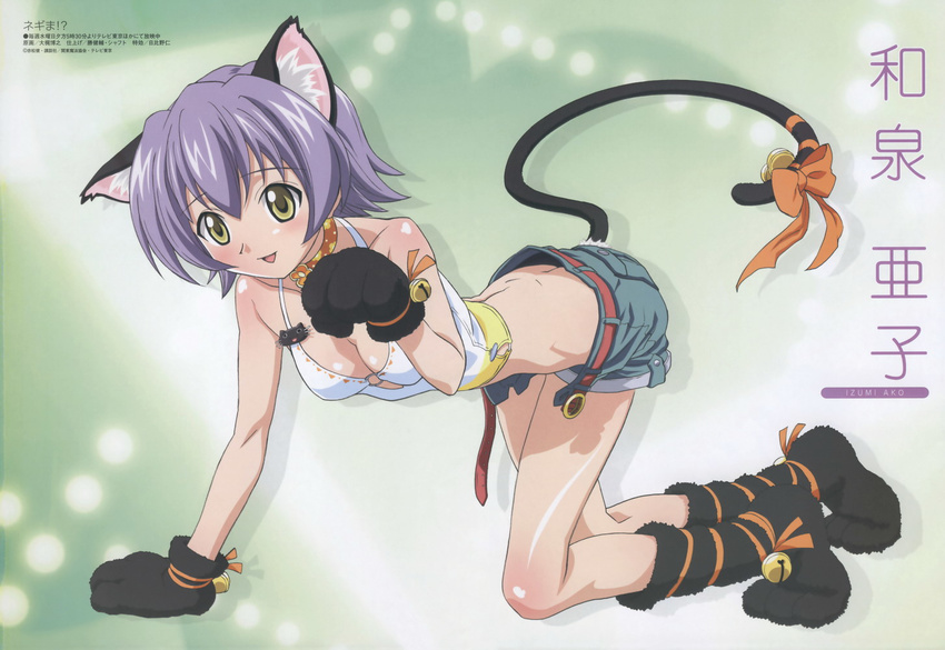 animal_ears catgirl izumi_ako mahou_sensei_negima tagme