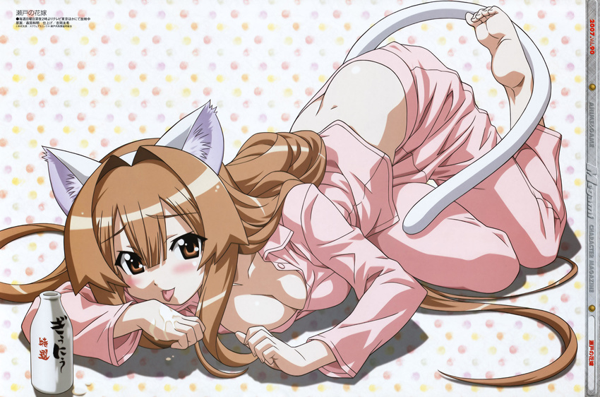 absurdres animal_ears barefoot blush bottle breasts brown_eyes brown_hair butt_crack cat_ears cat_tail cleavage feet highres large_breasts licking long_hair lying megami milk morita_kazuaki non-web_source pajamas scan seto_no_hanayome seto_sun soles solo tail toe-point toe_scrunch toes tongue top-down_bottom-up very_long_hair