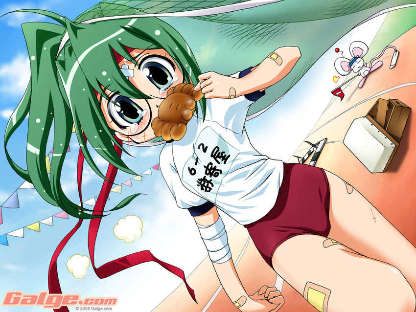 artist_request bandaged_arm bandages bandaid bandaid_on_arm bandaid_on_hand bandaid_on_leg blue_eyes blush bread bread_eating_race buruma day dutch_angle flag food galge.com glasses green_hair gym_uniform looking_at_viewer mouse_(galge.com) mouth_hold original scanner_(galge.com) sky sports_festival standing string_of_flags tears wallpaper watermark web_address