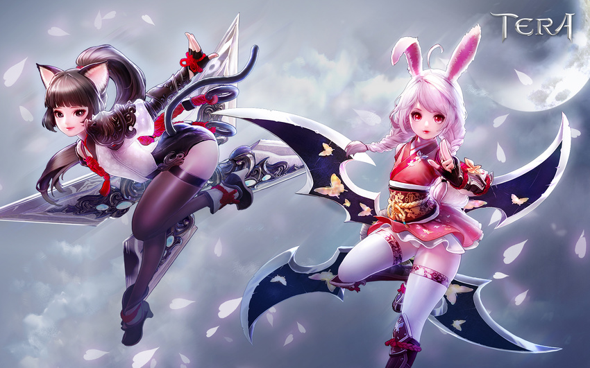 animal_ears elin tagme tera_online