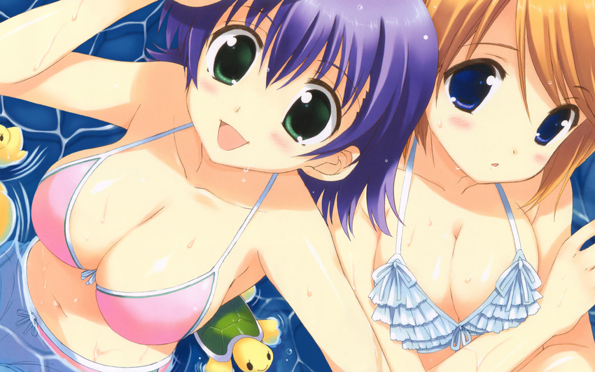 :d :o armpits bangs bikini blue_eyes blue_hair blush bow_bikini breast_hold breasts caustics chestnut_mouth cleavage collaboration crossed_arms dutch_angle eyebrows_visible_through_hair frilled_bikini frills from_above green_eyes hair_between_eyes halterneck hand_up happy highres komaki_manaka large_breasts looking_at_viewer looking_up medium_breasts multiple_girls navel ohara_tometa open_mouth orange_hair parted_lips partially_submerged pink_bikini pool rubber_duck sakura_koharu short_hair sideboob sitting smile surprised swept_bangs swimsuit to_heart_2 tonami_yuma toy turtle upper_body wallpaper water wet white_bikini widescreen