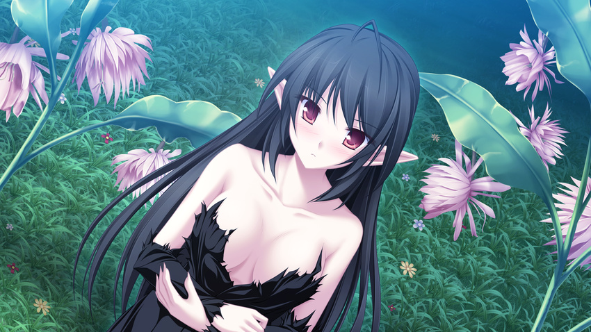 black_hair character_request elf female fuu_(suzukaze_no_melt) game_cg highres long_hair maikaze_no_melt red_eyes solo tenmaso whirlpool