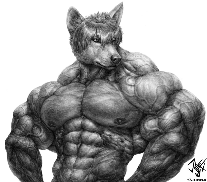 2019 abs anthro biceps biped canine digital_drawing_(artwork) digital_media_(artwork) front_view greyscale hair half-length_portrait huge_muscles jugg4 male mammal monochrome muscular muscular_male nipples nude pecs portrait short_hair simple_background solo standing timor vein veiny_muscles white_background wolf