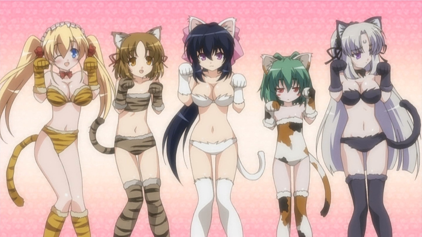 :3 animal_ears blonde_hair blue_eyes blue_hair blush bow breasts brown_eyes brown_hair cat_ears cat_tail cleavage facial_mark flat_chest forehead_mark green_hair grey_hair hair_bow hair_intakes hair_ribbon headdress jinguuji_kuesu kuzaki_rinko large_breasts lizlett_l_chelsie long_hair midriff multiple_girls navel noihara_himari omamori_himari one_eye_closed open_mouth paw_pose ponytail purple_eyes red_eyes ribbon screencap shizuku_(omamori_himari) short_hair smile stomach tail twintails very_long_hair