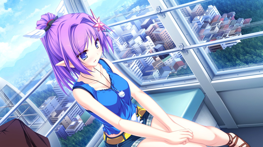 belt blue_eyes blush city collarbone female flower game_cg hair_flower hair_ornament hairclip jewelry kureha_(maikaze_no_melt) maikaze_no_melt necklace pointy_ears ponytail purple_hair shorts sitting sleeveless solo sunbeam tenmaso