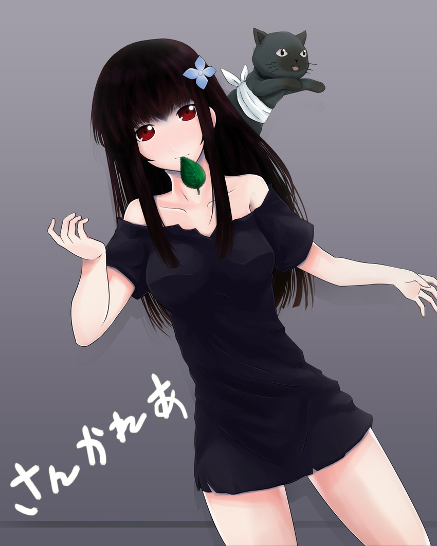 baabu bandages black_hair black_shirt cat collarbone dress_shirt grey_background hair_ornament highres long_hair looking_at_viewer red_eyes sanka_rea sankarea shirt