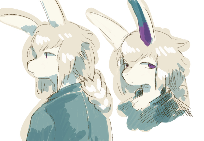 long_hair ponytail purple_eyes rabbit sasamino white_hair