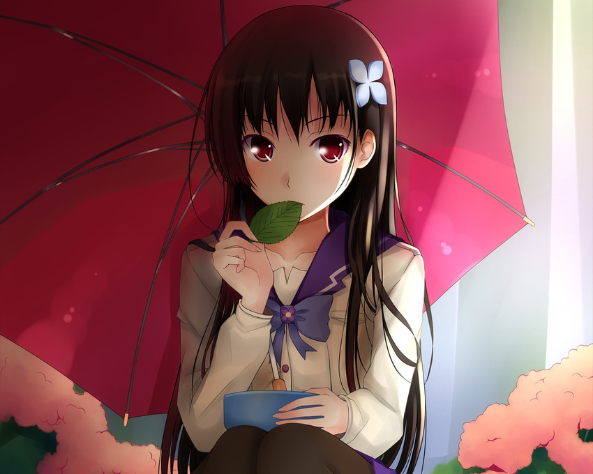 black_hair blush bow brown_hair flower fringe hair_flower hair_ornament holding knees leaf long_hair looking_at_viewer pantyhose qiuzhi_huiyi red_eyes sanka_rea sankarea school_uniform sitting solo touch touching umbrella