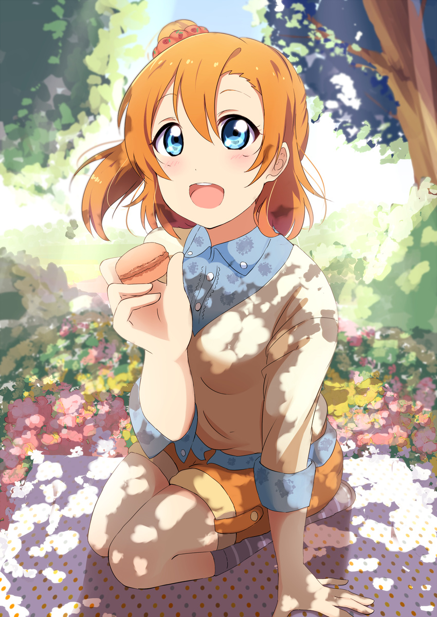 :d arm_support blue_eyes feeding field flower flower_field food hair_between_eyes highres incoming_food kousaka_honoka long_sleeves looking_at_viewer looking_up love_live! love_live!_school_idol_project macaron md5_mismatch one_side_up open_mouth orange_hair pov_feeding seiza shiokazunoko shorts sitting sleeves_rolled_up smile solo striped striped_legwear